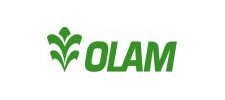 olam